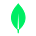MongoDB for VS Code